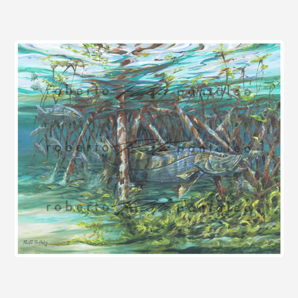 Snook in Mangroves II - Limited Edition
